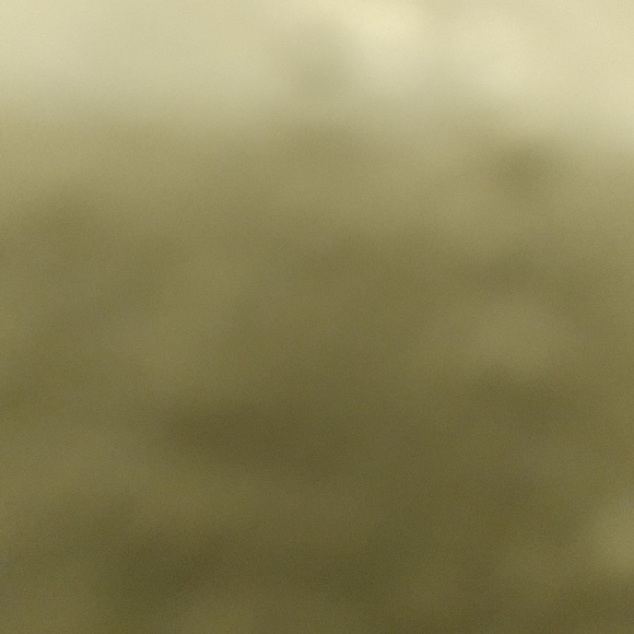 Meet your Posher, Dee - Picture 1 of 1